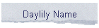 Daylily Name