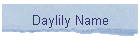 Daylily Name